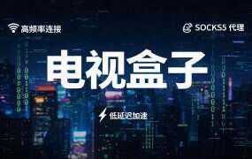电视盒子、游戏主机、NAS 怎么挂代理？先看设备里有没有这两项设置