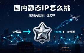 国内静态IP怎么挑？先按协议把平台分两组