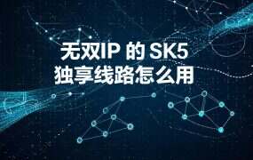 无双IP 的 SK5 独享线路怎么用？提出来之后还有两道关