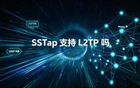SSTap 支持 L2TP 吗？它只认代理协议，L2TP 走这三条路