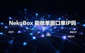 NekoBox 能做单窗口单IP吗？它分流的粒度在应用，不在窗口