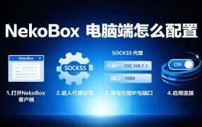 NekoBox 电脑端怎么配置？Windows 上的全局代理分两条路