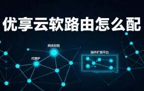 优享云软路由怎么配？ROS/爱快/OpenWrt 里只有 SK5 那条走得通