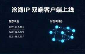 沧海IP 双端客户端上线：三端下载路径与九项功能拆解