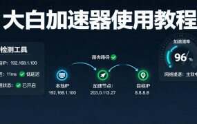 大白加速器使用教程：安卓下载安装、SK5批量导入、连接检测与出口IP核对