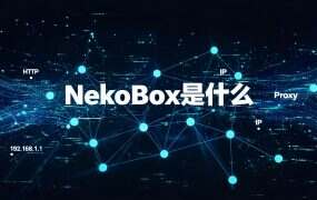 NekoBox是什么？安卓端的 sing-box 通用代理客户端（2026）