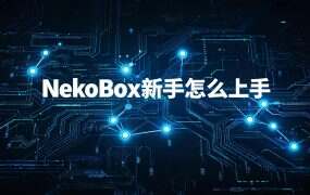 NekoBox新手怎么上手？（2026）五步配通