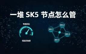 一堆 SK5 节点怎么管？大白加速器、NekoBox、Postern 吃的东西不一样