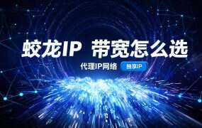 蛟龙IP 带宽怎么选？按同屏并发数倒推档位