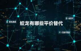 蛟龙有哪些平价替代？2.8 元档同价位横评（2026）