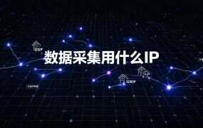 数据采集用什么IP？轮换频率与并发量对照