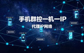 手机群控一机一IP：20 台设备的出口从哪来