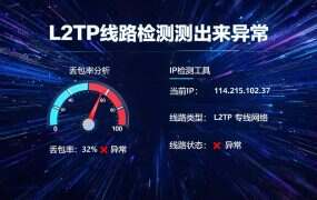 L2TP线路检测测出来异常，先看这三项读数