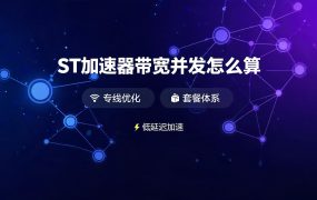 ST加速器带宽并发怎么算？三档价目表不标 Mbps