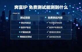 奔富IP 免费测试能测到什么？边界与测不出的部分