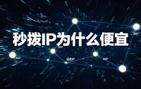 秒拨IP为什么便宜?卖的是次数,不是线路