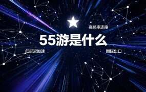 55游是什么？按「项目」切线路的外服游戏平台（2026）