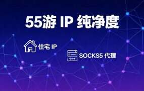 55游 IP 纯净度:三项自测能查出什么,查不出什么