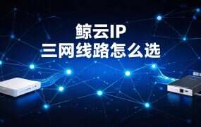 鲸云IP 三网线路怎么选？移动、联通、电信选的是身份不是速度