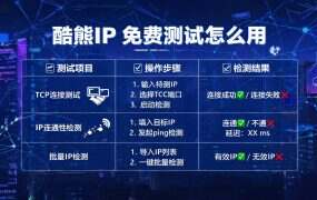 酷熊IP 免费测试怎么用：两套协议各测一次