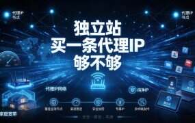 独立站买一条代理IP够不够？十条里只有一条真的在干活