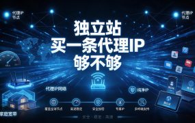 独立站买一条代理IP够不够?十条里只有一条真的在干活