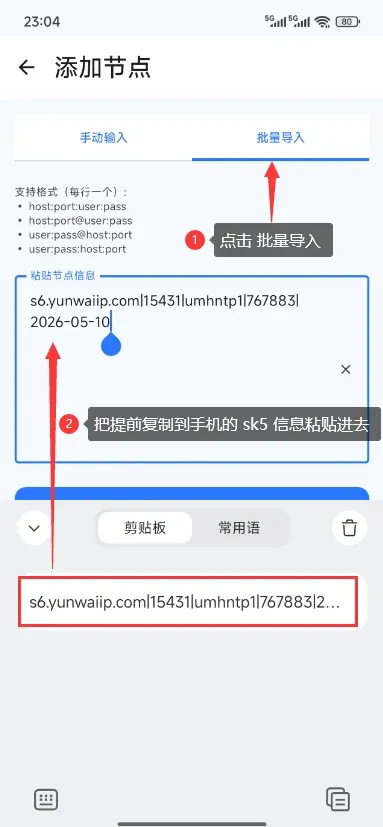 一堆 SK5 节点怎么管?大白加速器、NekoBox、Postern 吃的东西不一样插图 大白加速器的批量导入入口与前台的节点检测结果